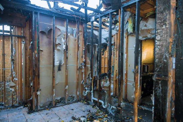 Professional Fire Damage Removal technician working in Woodridge, IL